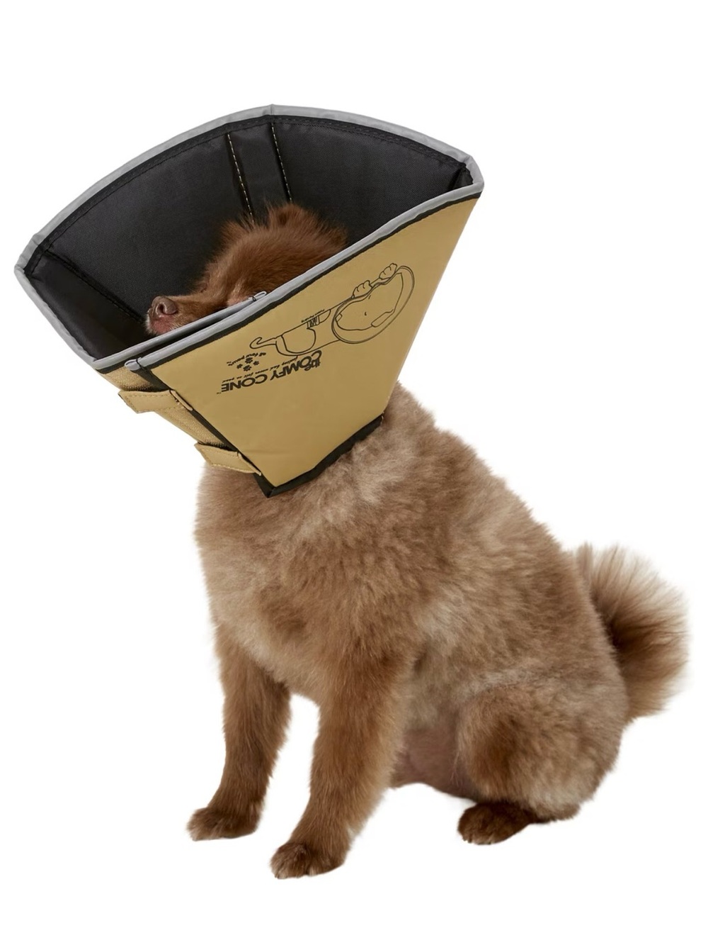 Tan Protective Recovery Collar for Dogs